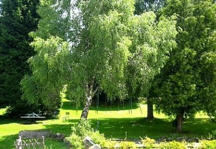 Hotel La Clairiere Chambon-sur-Dolore Eksteriør bilde